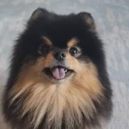 tete_yontan___'s profile picture. 