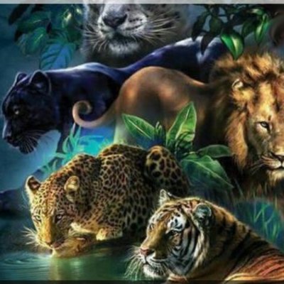 Sebastien451776's profile picture. 