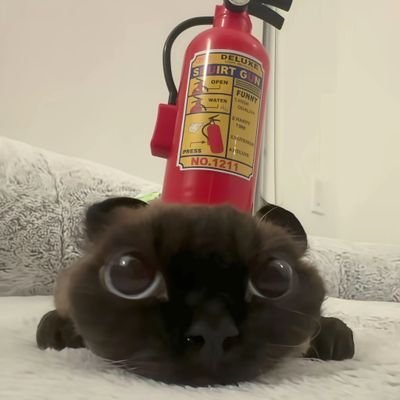 men_xi97798's profile picture. 摆烂狗