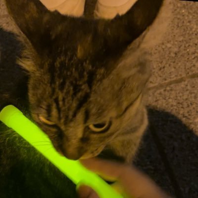 trrrsuu's profile picture. 高二/世日/数弱/スマホ見すぎーー