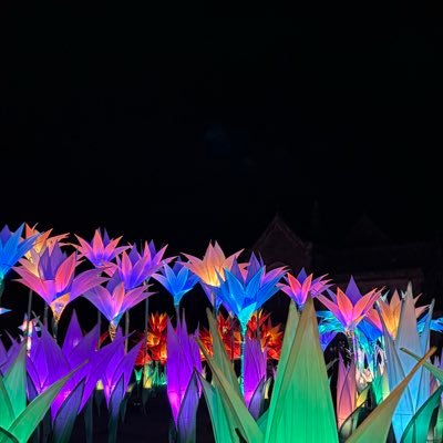 0LoyLakes's profile picture. The Lakes⛰️ Days Out with the family🗻Reading (and lots of it) new releases and classics 📚Watching sports 🏏 ⚽️🏊‍♀️ Air Fryer 🧑‍🍳 Holidays🏝️✈️