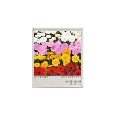 wxiwj_'s profile picture. #teamG