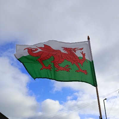DemetaeCymru's profile picture. @DemetaeCymru - Welsh Nationalist, Republican & non-woke. Not a member of any political party; hence, politically homeless. 
Annibyniaeth!