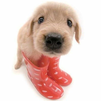 tbmk8c's profile picture. 