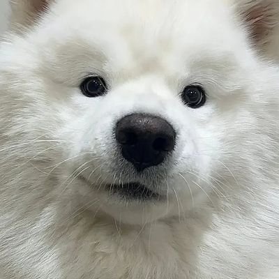 MummiiCinnamon's profile picture. I woke up like this 👊👊