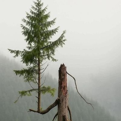 rbodaszewski's profile picture. 🥰🙏👍👏🇵🇱🇵🇱🇵🇱
 #ZawszeZaPolska ❣️Bóg✝️ Honor❣️ Ojczyzna 🇵🇱  
🙏🦅Prezydent Polski  #NawrockiMoimPrezydentem 🇵🇱#Nawrocki2025 @NawrockiKn