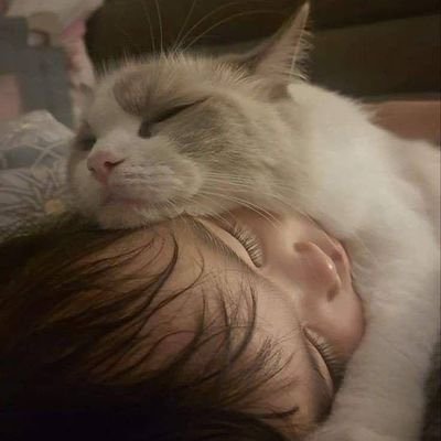 7nvuh's profile picture. 