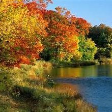 PUNEETVERM55261's profile picture. React Native dev