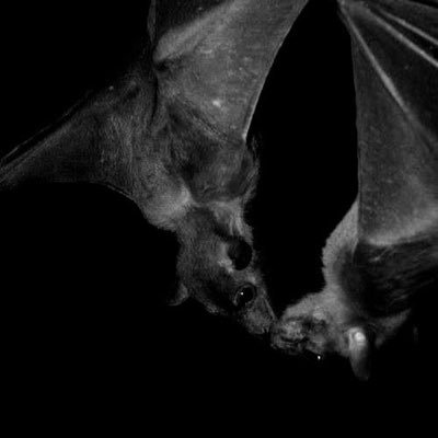 fatbeyondrepair's profile picture. 