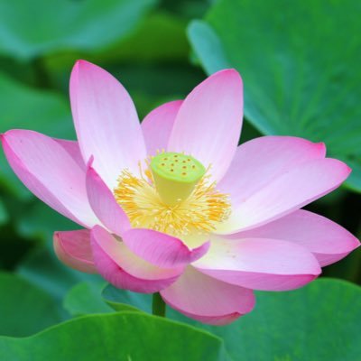 Jannicemarrie1's profile picture. Uplifting others doesn’t just brighten their lives it strengthens our whole world, one meaningful act at a time.