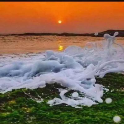 Jaya_Anchan's profile picture. जननी जन्मभूमिश्च स्वर्गादपि गरीयसी 🇮🇳
धर्मो रक्षति रक्षितः 🕉️