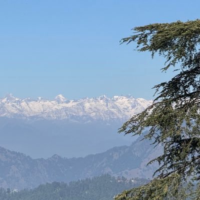 sethiyasid4's profile picture. 