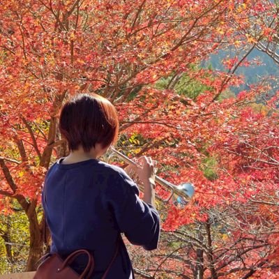 kaitrp's profile picture. 園部吹奏楽団でトランペット吹いてる。こないだ39歳になった((´^ω^))
