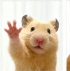 cutihee_'s profile picture. 