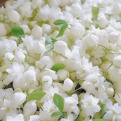 Blunt_Realistic's profile picture. رات کو رات کہہ دیا میں نے 
سنتے ہی بوکھلا گئی دنیا
🙂
Story teller ✍️
Author of ZindagiNama 💖
https://t.co/x91jxELE6o