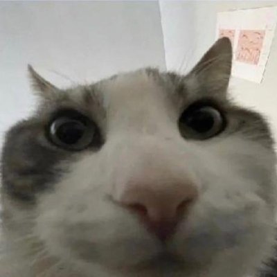 Anukulaabhi's profile picture. Learning...