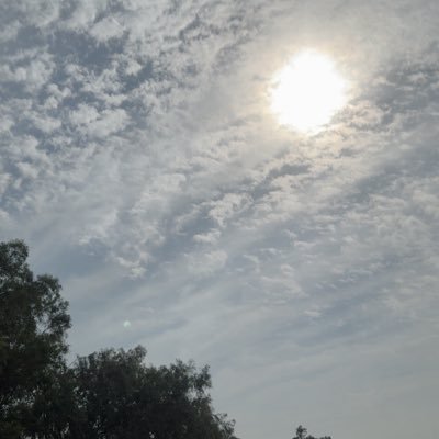 M97_mee's profile picture. الجميع لديهم عقول ولكن يختلف مكان تواجدها ♡ 4:44