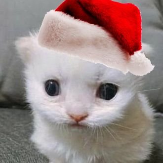 7______31's profile picture. 크리스마스가 한달남앗대요!