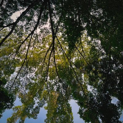 abyyynn's profile picture. an aspiring documentary and underwater photographer,  1312.