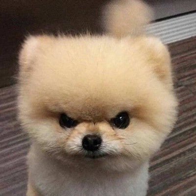 IMallang30362's profile picture. 말랑말랑말랑해