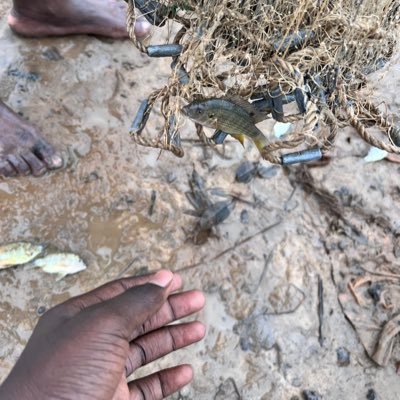 Abdourahma91995's profile picture. You get peace of mind not by thinking about it or imagining it, but by quietening and relaxing the restless mind.❤️