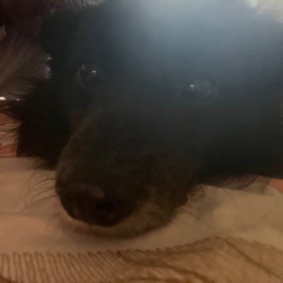 heyitsbreeey's profile picture. A little bit of heaven with a wild side 👅