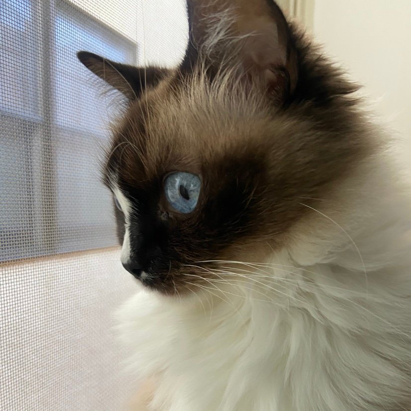 hirohirop7's profile picture. 