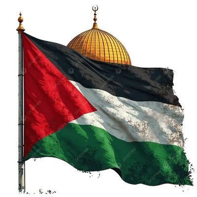 hormonyhub's profile picture. with gaza.always.standing strong 🇦🇪