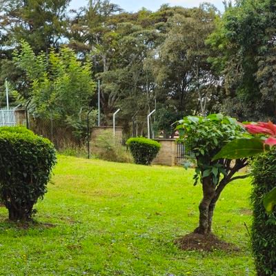 aleki_mutua's profile picture. Here to learn and share ideas!

Bsc clinical medicine