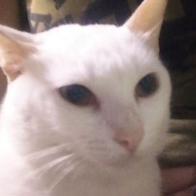 emma_penaranda's profile picture. I love you Hope Elizabeth Hanley Soberano 💕