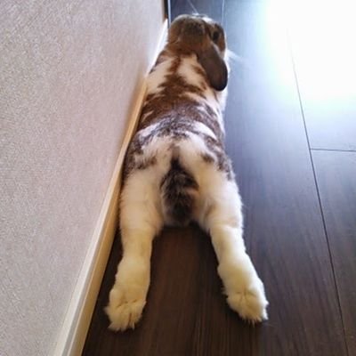 b_trash178's profile picture. ロックとアニソン✨
B'z│JAM project│水樹奈々│LiSA│UVER│
聞くのも歌うのも好き🎧🎤
血が沸くパワフルな曲を好みます🔥
競馬はロマン🏇旅行は癒し♨️
レトロゲームオタク(主に幻水)
BMSG所属アーティスト全推し