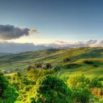 LerkyLou1's profile picture. I'm very sick and very weak. I spend most of my days alone in bed as I can no longer stand or walk for but brief periods. I see the world through social media.