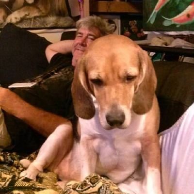 awaitekw14's profile picture. 'Merica First | MAGA Patriot | Exposing woke nonsense with facts & laughs 
If you're offended, it's just sarcasm.
🚫DM's Please. Unless it's an emergency.