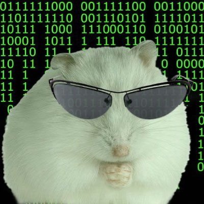 moveB2009's profile picture. SHUT THE F**K UP, BUY BITCOIN, AND RUN A NODE. EASY🍊💊⚡️☂️