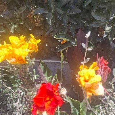 sigacik4507's profile picture. 