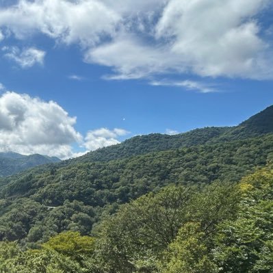 kosyumi3's profile picture. 趣味&情報収集&推し活用垢。同じ趣味の方々と情報交換もしていきたい。旅行/ゲーム/声優/キャンプ/風俗等 ゲームはポケモンgoやウマ娘をやっています