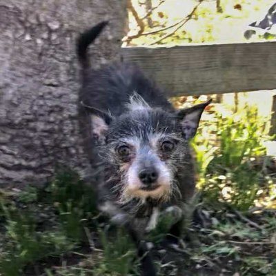 MendellNate's profile picture. Gay. Christian. Open book, just ask.