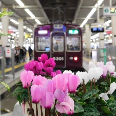 Exp_Kuroyama's profile picture. 鉄道が好きなノア、マリー推しのブルアカユーザー(2025年1月21日就任 )です。現在レベル90。ちょいちょい出かけます。