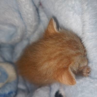 WineeWinee26286's profile picture. 