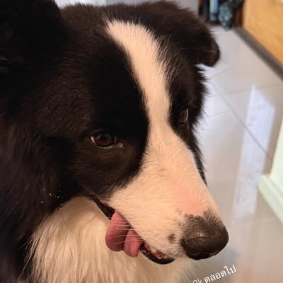 BFloweryw's profile picture. 💗🫧 @yinyin_anw @warwanarat