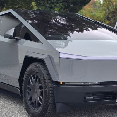 ThomasWyatt4's profile picture. 