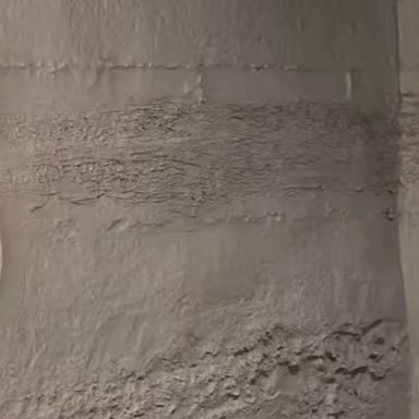 hasllm515's profile picture. 