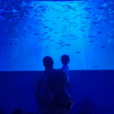 iqbmohammad's profile picture. Tukang Data