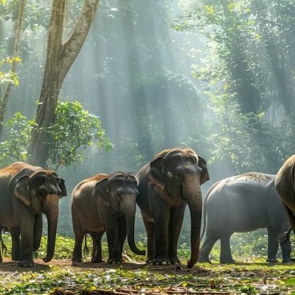 Mizanur52858055's profile picture. 