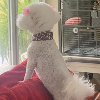 MaryEllenR37197's profile picture. Posting truth, Love My Country USA, Pro-Constitution, Second Amendment supporter. Never give up, God is King

NO DM'S OR FAKE FOLLOWERS 🚫 DM 🚫 PORN