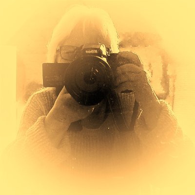 roelie1949's profile picture. Wandelen...genieten...
Elke dag wel wat te beleven.....    ..LEEF
Eigen foto's