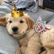 cxshfnn's profile picture. @FNcompetitive | Alhamdulilah for everything صلو على النبي🤍 use code (x74) #ad