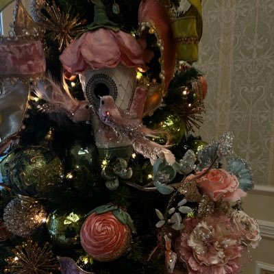 Minnie_yoohoo's profile picture. Nikon Z50Ⅱ