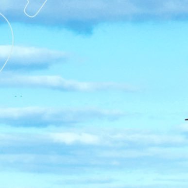 𝙢𝙚𝙚𝙜𝙤𝙡𝙚𝙣 𝙥𝙤𝙩𝙖𝙩𝙤 ✈︎ 上洛両日