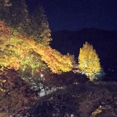 hiiiii_mi's profile picture. 